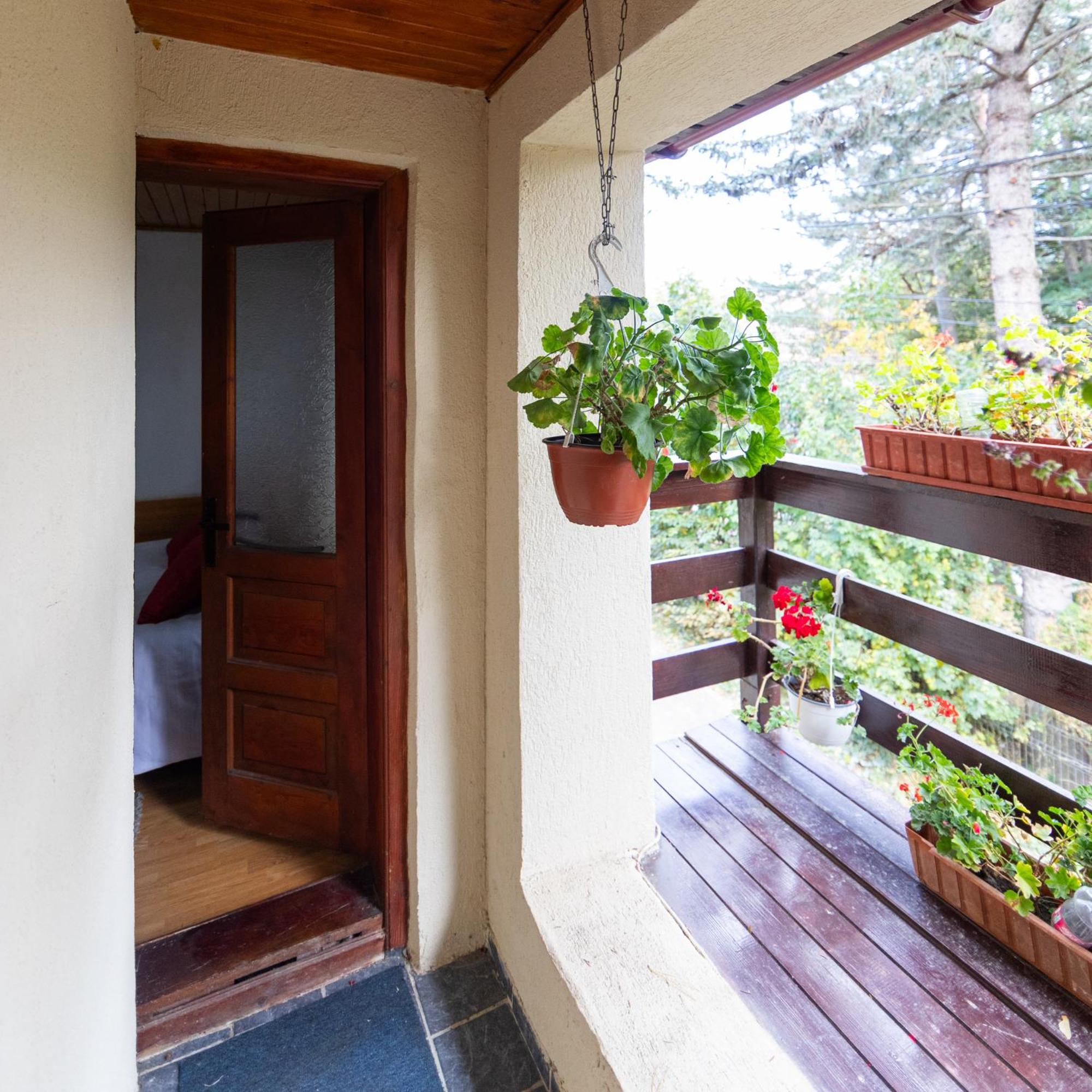 Casa Nan Hotel Bran  Exterior photo